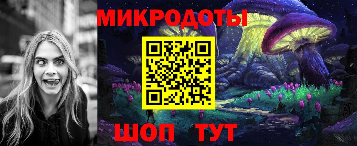 Псилоцибиновые грибы Psilocybe Губкинский